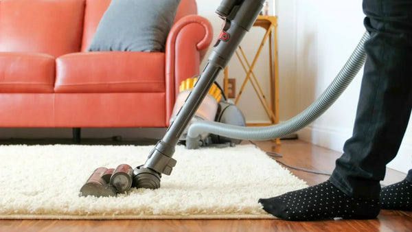 Person vacuuming carpet with Dyson.