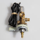 DELONGHI HEATERS VALVE WITH THERMOCOUPLE - 5512310021